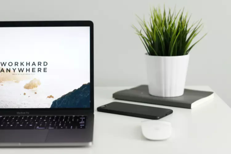 Freelancer vs. Contractor