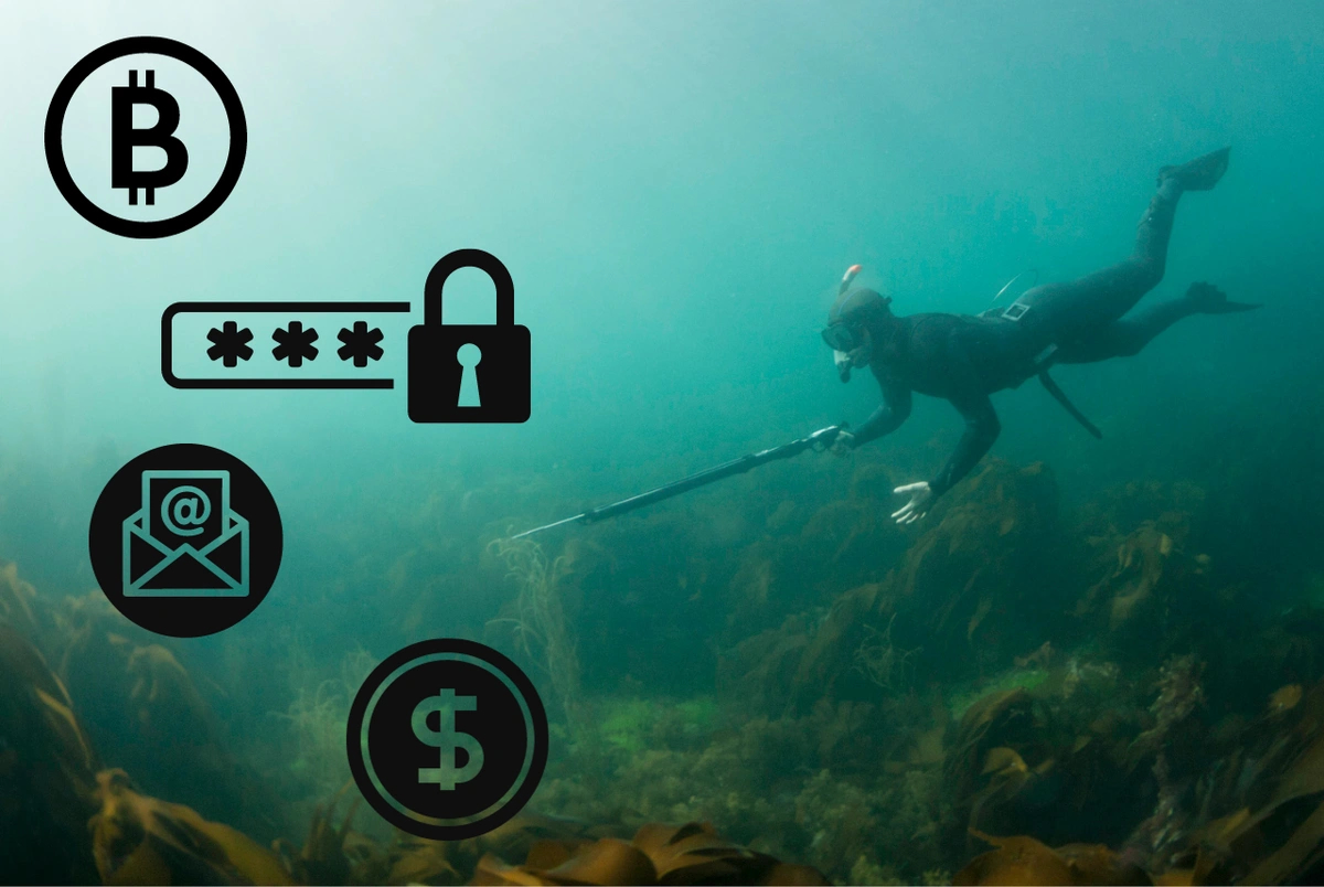 Person under water spear fishing, swimming towards icons representing bitcoin, passwords, email, and money.