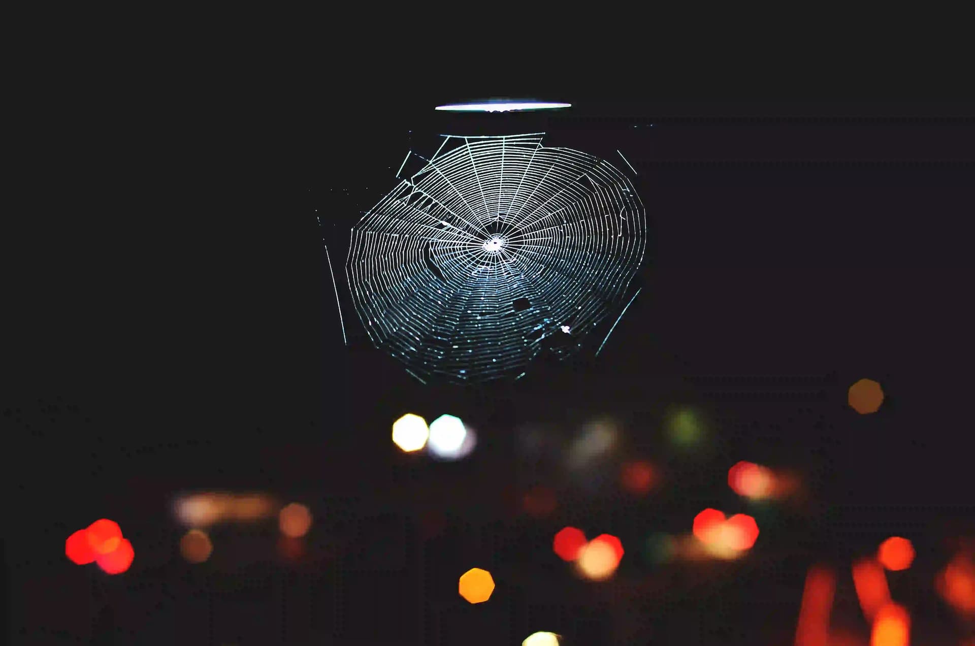 Spider net with black background
