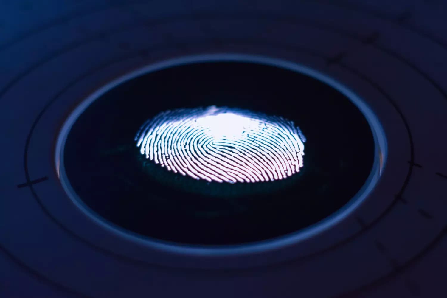 What Is Biometric Identification?