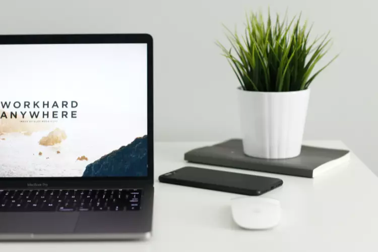 Freelancer vs. Contractor